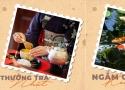 Độc đáo sự kiện trà đạo Nhật Bản lần đầu tiên có mặt tại Nghệ An