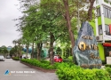 Cửa Tiền Home: “Gieo mầm” sống xanh tại trung tâm TP Vinh